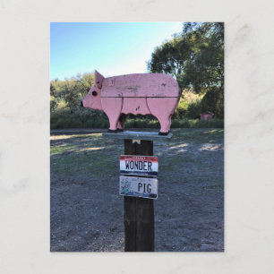 Idaho Wonder Pig, Funny Postkarte