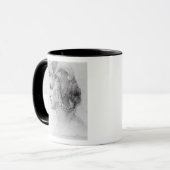 Idealer Kopf einer Frau, c.1525-28 Tasse (Vorderseite Links)