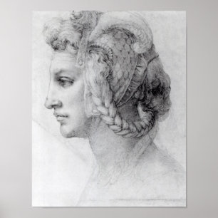 Idealer Leiter einer Frau, c.1525-28 Poster