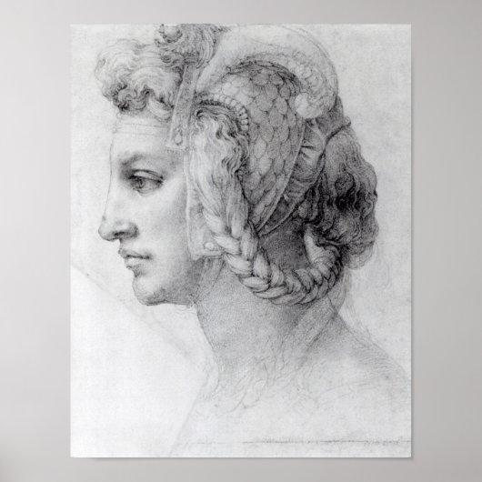 Idealer Leiter einer Frau, c.1525-28 Poster (Vorne)
