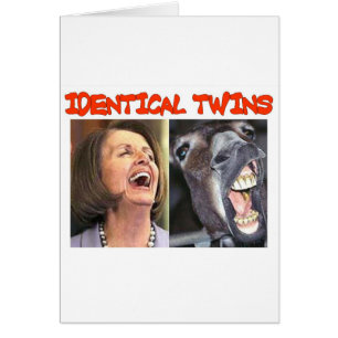 IDENTICAL TWINS