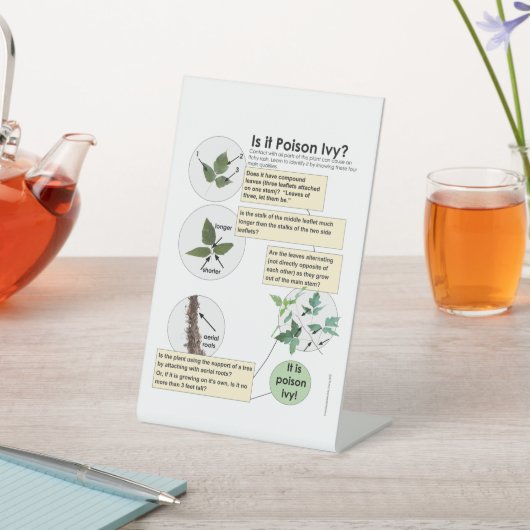 Identifizieren von Gift Ivy Pflanze Wandern, Campi Sockelschild (In SItu)