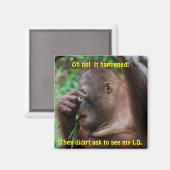 Identifizierung Magnet (Vorderseite/Rückseite)