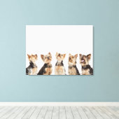 Identische Hunde sitzen zusammen Leinwanddruck (Insitu (Holzboden))