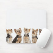 Identische Hunde sitzen zusammen Mousepad (Mit Mouse)