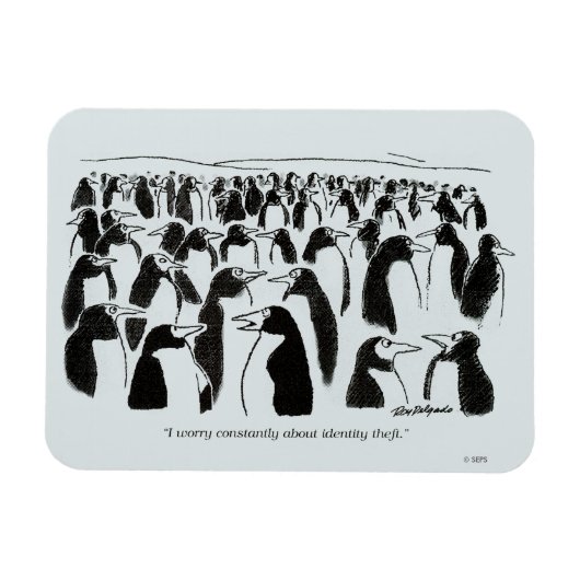 Identitätsdiebstahl Magnet (Horizontal)