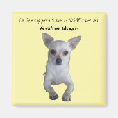 IDGAF Humor Magnet (Vorne)