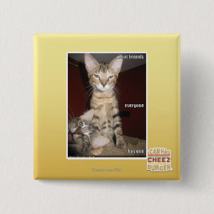 Idiot-Freunde Button