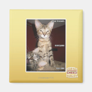 Idiot-Freunde Magnet