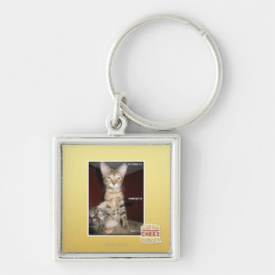 Idiot-Freunde Schlüsselanhänger