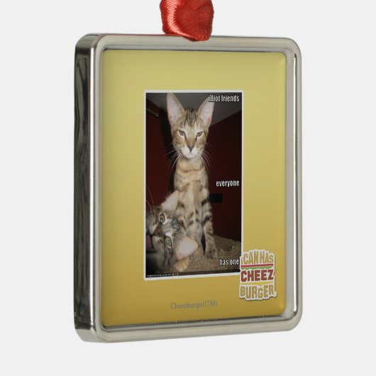 Idiot-Freunde Silbernes Ornament (Rechts)