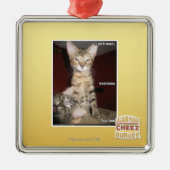 Idiot-Freunde Silbernes Ornament (Vorne)