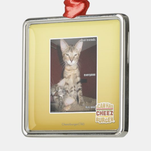 Idiot-Freunde Silbernes Ornament (Links)