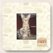 Idiot-Freunde Untersetzer (Vorderseite)