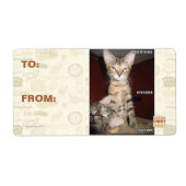 Idiot Friends (Vorne)