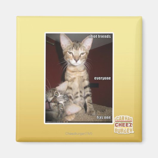 Idiot Friends Magnet (Vorne)