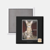 Idiot Friends Magnet (Vorderseite/Rückseite)