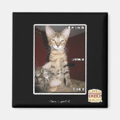 Idiot Friends Magnet (Vorne)