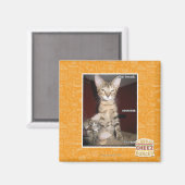 Idiot Friends Magnet (Vorderseite/Rückseite)