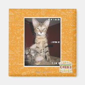 Idiot Friends Magnet (Vorne)