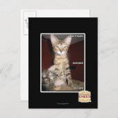 Idiot Friends Postkarte (Vorne/Hinten)