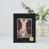 Idiot Friends Postkarte (Stehend Vorderseite)