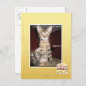 Idiot Friends Postkarte (Vorne/Hinten)