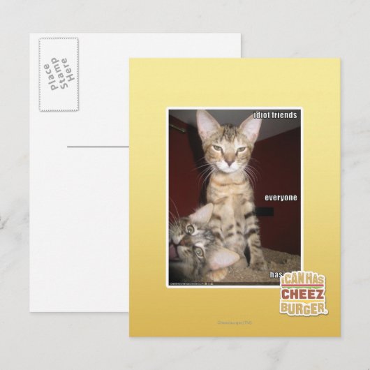 Idiot Friends Postkarte (Vorne/Hinten)