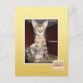 Idiot Friends Postkarte (Vorderseite)