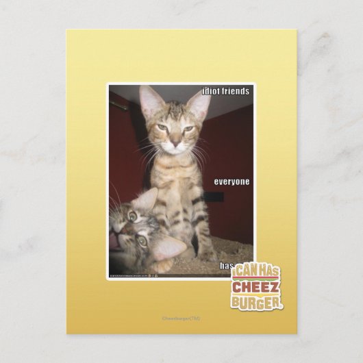 Idiot Friends Postkarte (Vorderseite)