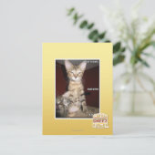 Idiot Friends Postkarte (Stehend Vorderseite)