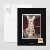 Idiot Friends Postkarte (Vorne/Hinten)