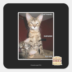 Idiot Friends Quadratischer Aufkleber