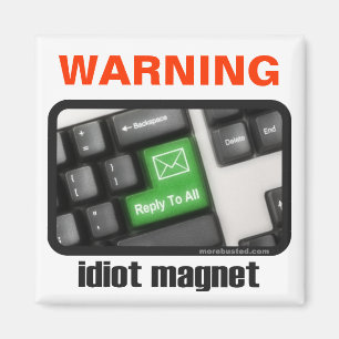 Idiot-Magnet (Magnet) Magnet