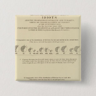 Idioten, Statistischer US-Lithograph 1870 Button