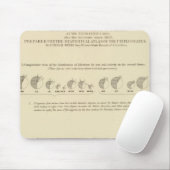 Idioten, Statistischer US-Lithograph 1870 Mousepad (Mit Mouse)