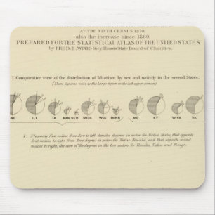 Idioten, Statistischer US-Lithograph 1870 Mousepad