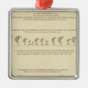 Idioten, Statistischer US-Lithograph 1870 Ornament Aus Metall