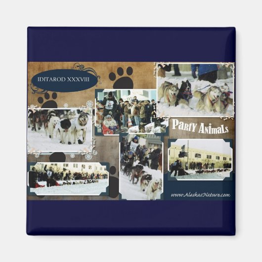 Iditarod 2010 magnet (Vorne)