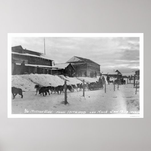 Iditarod Alaska Birdseye 1914 Poster (Vorne)