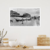 Iditarod Alaska Birdseye 1914 Poster (Küche)