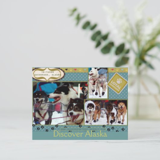 Iditarod Loyal Postkarte (Stehend Vorderseite)
