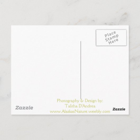 Iditarod Loyal Postkarte (Rückseite)