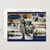 Iditarod Postcard Postkarte (Vorne/Hinten)