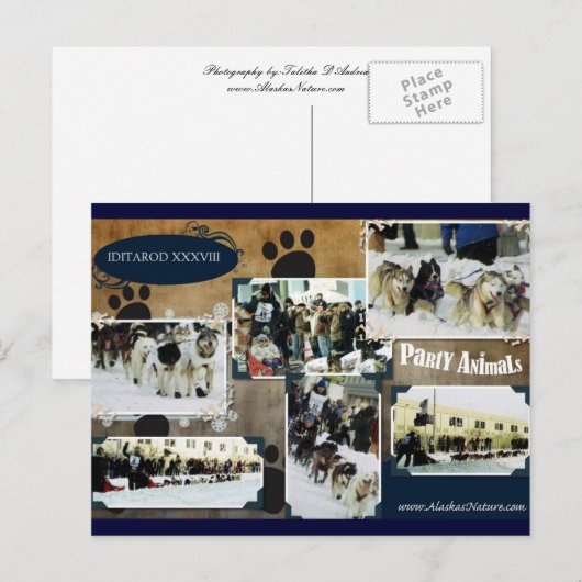 Iditarod Postcard Postkarte (Vorne/Hinten)