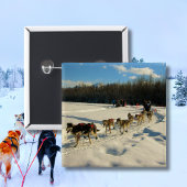 Iditarod Trail Schlittenhunde Button