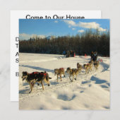 Iditarod Trail Schlittenhunde Einladung (Vorne/Hinten)