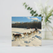 Iditarod Trail Schlittenhunde Einladung (Stehend Vorderseite)