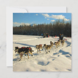 Iditarod Trail Schlittenhunde Einladung