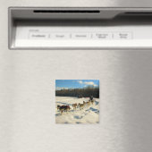 Iditarod Trail Schlittenhunde Magnet (In Situ (Geschirrspüler))